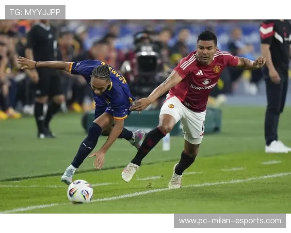 东盟地区足球场上的明星球员及其精彩表现分析